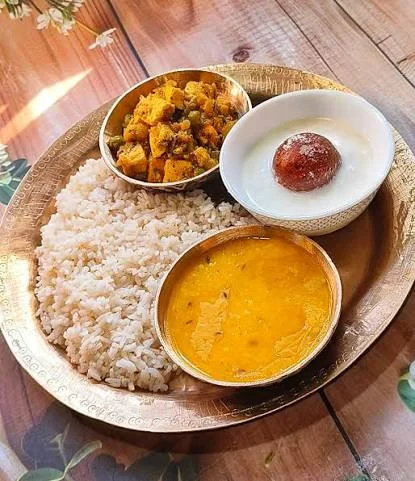 VEG RICE MEAL
